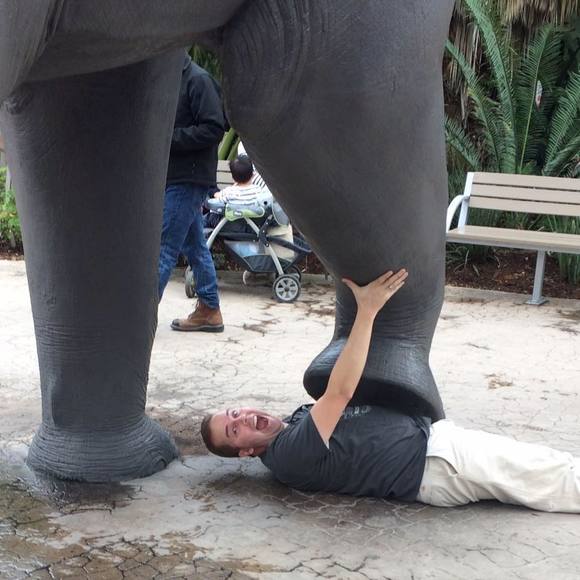 Meet your Posher, Chase - Picture 1 of 1